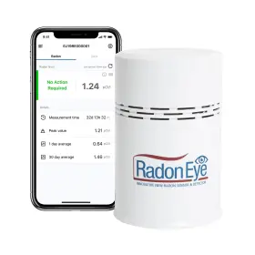 Ecosense Inc. 809513820004 Radoneye Rd200 Radon Detector For Short And Long Term Continuous Monitoring