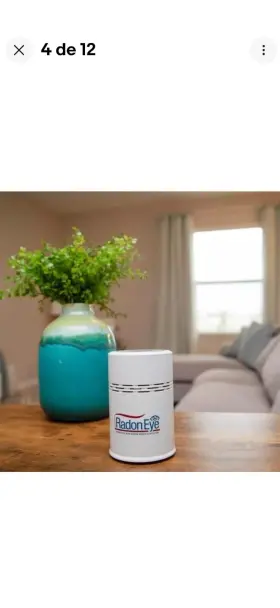 Radon Ftlab 313048583580 Ecosense Rd200 Radoneye Home Detector Fast Capture Of Fluctuating Levels